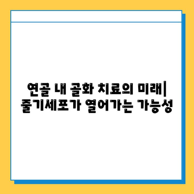 연골 내 골화 치료의 미래| 혁신적인 접근법과 최신 연구 동향 | 연골 재생, 줄기세포 치료, 조직 공학