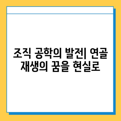연골 내 골화 치료의 미래| 혁신적인 접근법과 최신 연구 동향 | 연골 재생, 줄기세포 치료, 조직 공학