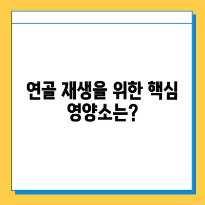 연골 건강 지키는 효과적인 영양제 추천 | 관절 건강, 연골 재생, 영양제 비교