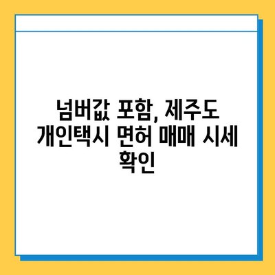 제주도 서귀포시 대정읍 개인택시 면허 매매 가격| 오늘 시세 확인 & 자격조건, 월수입, 양수교육 정보 | 번호판, 넘버값 포함