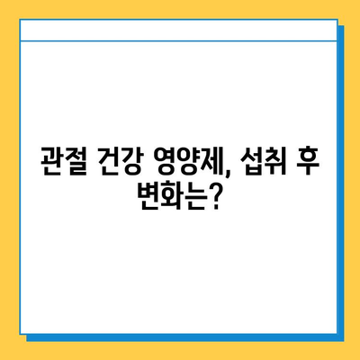 관절 연골 건강, 어떤 영양제가 효과적일까요? | 섭취 후 변화 비교, 추천 제품, 선택 가이드