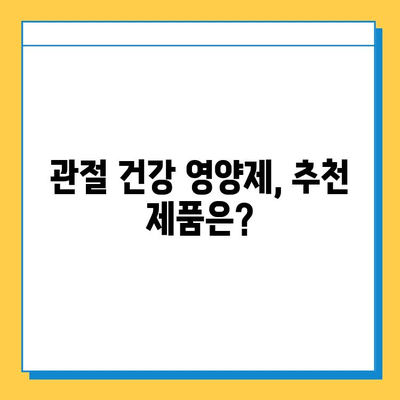 관절 연골 건강, 어떤 영양제가 효과적일까요? | 섭취 후 변화 비교, 추천 제품, 선택 가이드