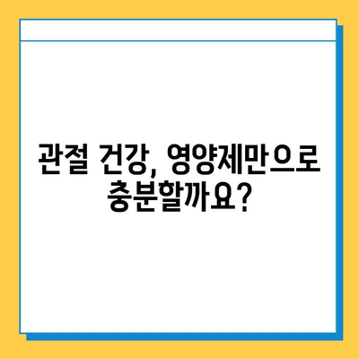 관절 연골 건강, 어떤 영양제가 효과적일까요? | 섭취 후 변화 비교, 추천 제품, 선택 가이드