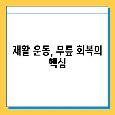 무릎 연골 파열, 완치까지의 여정| 치료 과정, 재활 전략, 그리고 삶의 회복 | 연골 파열, 무릎 통증, 재활 운동, 수술, 회복