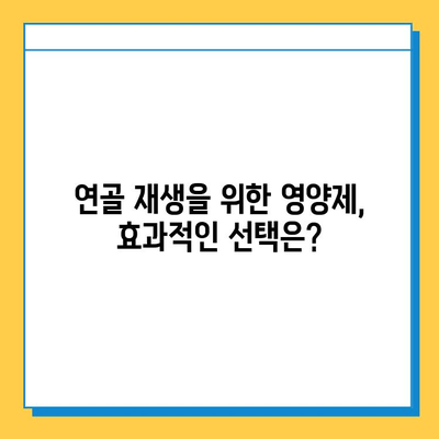 관절 건강 지키는 선택! 나에게 맞는 관절연골 영양제 고르는 방법과 효과 | 관절 통증, 연골 재생, 영양제 추천, 섭취 가이드
