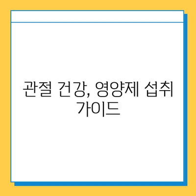 관절 건강 지키는 선택! 나에게 맞는 관절연골 영양제 고르는 방법과 효과 | 관절 통증, 연골 재생, 영양제 추천, 섭취 가이드