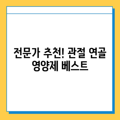 관절 연골 건강, 영양제로 지킬 수 있을까요? | 관절연골 영양제 선택 기준, 섭취 후 효과, 추천 제품, 주의사항