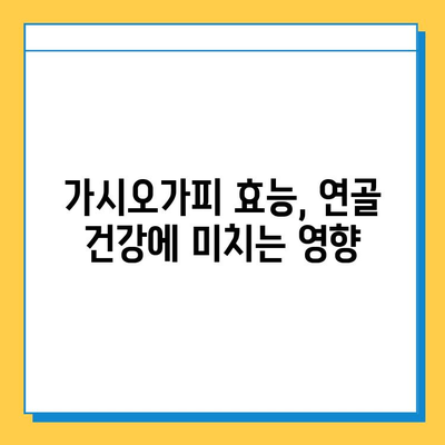 가시오가피순, 연골 건강 지키는 똑똑한 방법 | 연골 관리, 관절 건강, 가시오가피 효능
