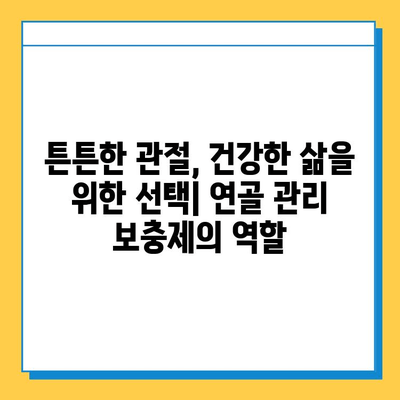 연골 관리 보충제로 약해지는 관절 건강 지키기| 효과적인 선택 가이드 | 관절 건강, 연골 보호, 보충제 추천