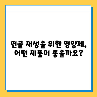 부모님 건강을 위한 최고의 선택! 관절 연골 영양제 추천 TOP 5 | 부모님 선물, 건강식품, 관절 건강, 연골 재생, 효능 비교