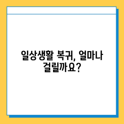 반월상 연골 파열 & 십자 인대 파열, 치료법 총정리 | 수술, 재활, 운동, 회복