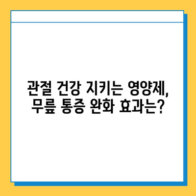 무릎 연골 건강 지키는 영양제| 효과적인 제품 비교 & 추천 | 연골 재생, 관절 건강, 무릎 통증 완화