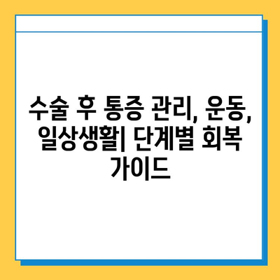 무릎 연골 수술 후 빠른 회복을 위한 재활 가이드| 핵심 전략과 운동 | 재활, 회복, 운동, 전문가 팁