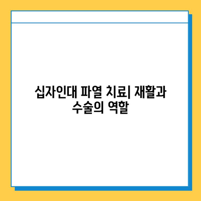 반월상 연골 파열 vs 십자인대 파열| 치료법과 회복 과정 비교 가이드 | 무릎 부상, 운동, 재활