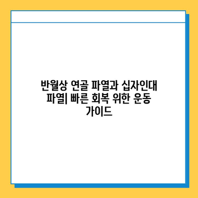 반월상 연골 파열 vs 십자인대 파열| 치료법과 회복 과정 비교 가이드 | 무릎 부상, 운동, 재활