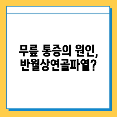 반월상연골파열, 증상부터 수술 후 재활까지 완벽 가이드 | 무릎 통증, 운동 제한, 재활 운동