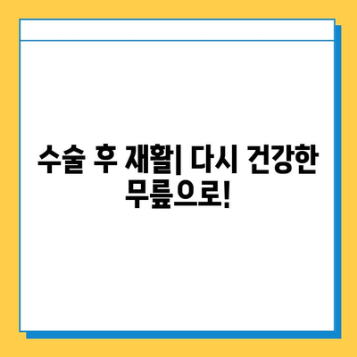 반월상연골파열, 증상부터 수술 후 재활까지 완벽 가이드 | 무릎 통증, 운동 제한, 재활 운동
