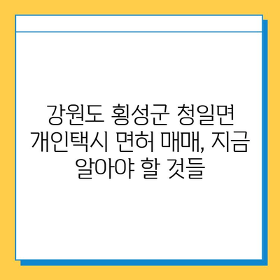 강원도 횡성군 청일면 개인택시 면허 매매 시세 & 정보 | 오늘 가격, 넘버값, 자격조건, 월수입, 양수교육