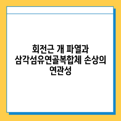 삼각섬유연골복합체 손상, 수술 치료의 모든 것 | 어깨 통증, 회전근 개 파열, 재활, 수술 후 관리