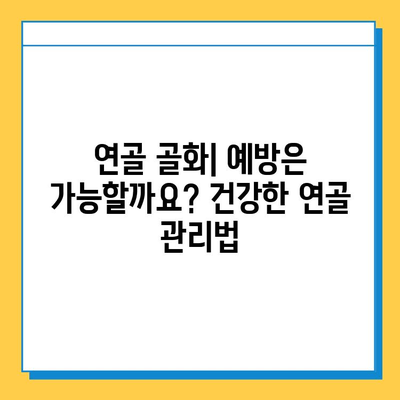 연골 골화| 무시하면 안 되는 심각한 문제 | 원인, 증상, 치료 및 예방