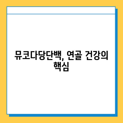 연골 재생을 위한 선택! 뮤코다당단백 영양제의 3가지 장점 | 관절 건강, 연골 재생, 영양제