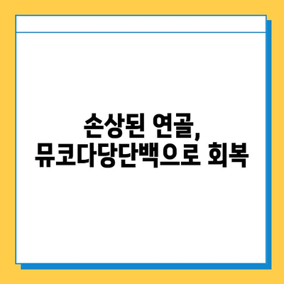 연골 재생을 위한 선택! 뮤코다당단백 영양제의 3가지 장점 | 관절 건강, 연골 재생, 영양제