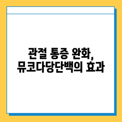 연골 재생을 위한 선택! 뮤코다당단백 영양제의 3가지 장점 | 관절 건강, 연골 재생, 영양제
