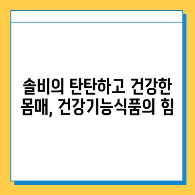 솔비의 다이어트 비밀| 건강기능식품의 힘으로 탄탄하고 건강한 몸 만들기 | 솔비, 다이어트, 건강기능식품, 체중 감량, 건강