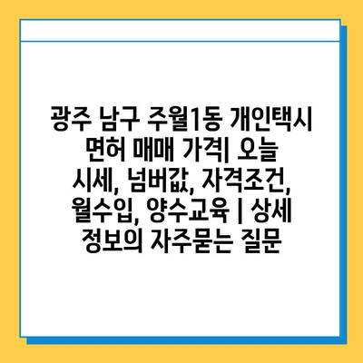 광주 남구 주월1동 개인택시 면허 매매 가격| 오늘 시세, 넘버값, 자격조건, 월수입, 양수교육 | 상세 정보