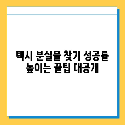 택시에서 분실물 찾았다! 성공 사례와 꿀팁 | 분실물, 택시, 찾기, 팁, 성공