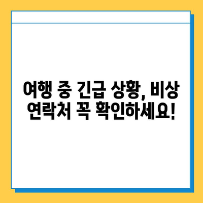 일본 여행 중 여권 분실| 신고부터 재발급까지 완벽 가이드 | 여권 분실, 일본 대사관, 재발급 절차, 비상 연락처