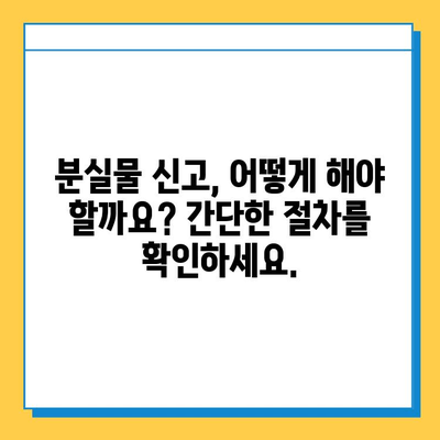 서울역 분실물 센터 유실물 찾는 완벽 가이드 | 분실물 신고, 찾는 방법, 주의 사항