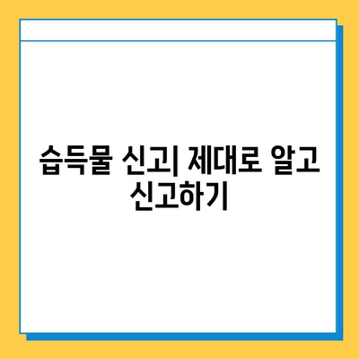 분실물 접수 & 습득물 관리 완벽 가이드|