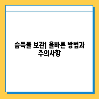 분실물 접수 & 습득물 관리 완벽 가이드|