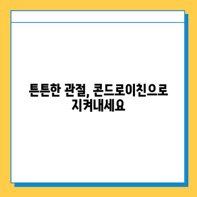 소연골 건강, 콘드로이친으로 지켜내세요! | 관절 건강, 연골 관리, 영양 정보