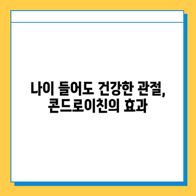 소연골 건강, 콘드로이친으로 지켜내세요! | 관절 건강, 연골 관리, 영양 정보