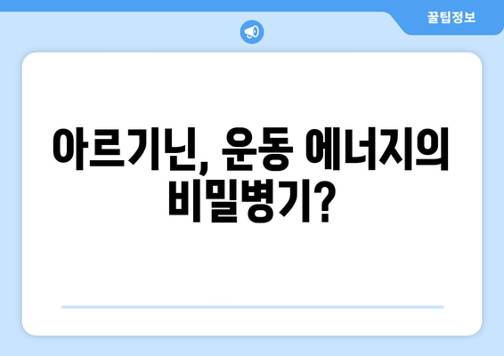 운동 전후 아르기닌 섭취, 에너지 레벨에 미치는 영향 | 운동 효과, 근육 성장, 체력 증진