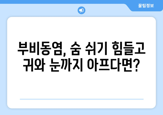 부비동염 귀와 눈 통증, 집에서 해결하는 방법 | 자가 치료, 완화, 증상 완화 팁