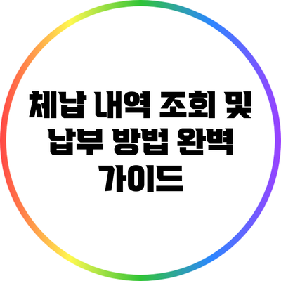 체납 내역 조회 및 납부 방법 완벽 가이드