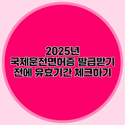 2025년 국제운전면허증 발급받기 전에 유효기간 체크하기