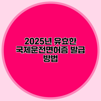 2025년 유효한 국제운전면허증 발급 방법