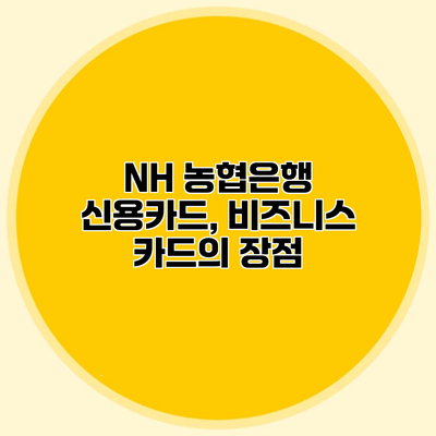 NH 농협은행 신용카드, 비즈니스 카드의 장점
