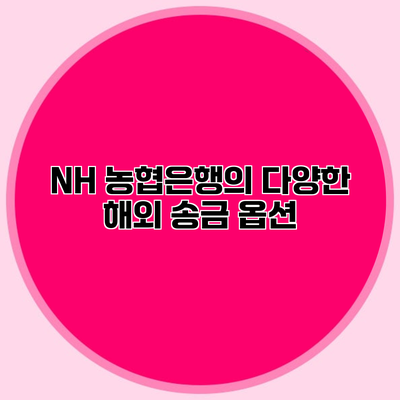 NH 농협은행의 다양한 해외 송금 옵션
