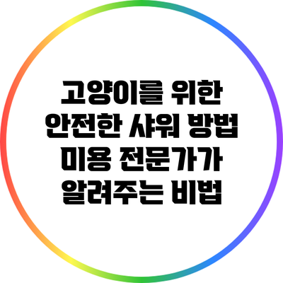 고양이를 위한 안전한 샤워 방법: 미용 전문가가 알려주는 비법
