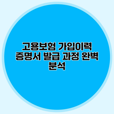 고용보험 가입이력 증명서 발급 과정 완벽 분석