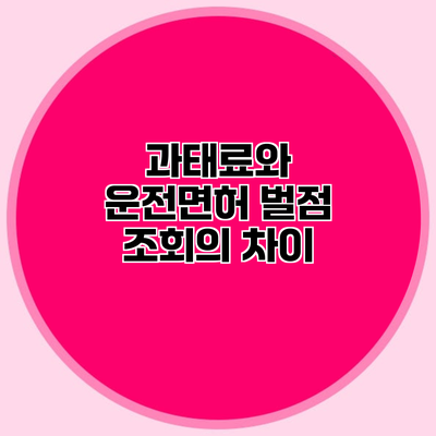 과태료와 운전면허 벌점 조회의 차이