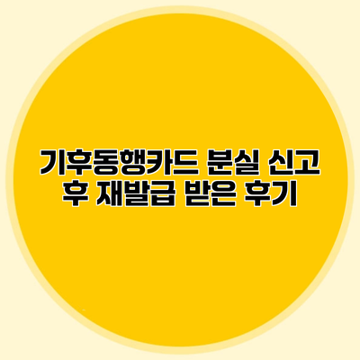 기후동행카드 분실 신고 후 재발급 받은 후기