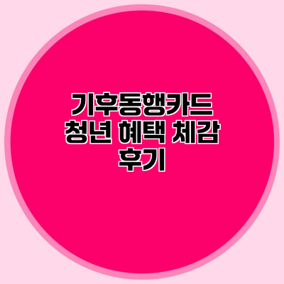 기후동행카드 청년 혜택 체감 후기