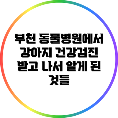 부천 동물병원에서 강아지 건강검진 받고 나서 알게 된 것들