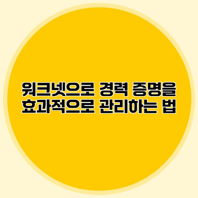 워크넷으로 경력 증명을 효과적으로 관리하는 법
